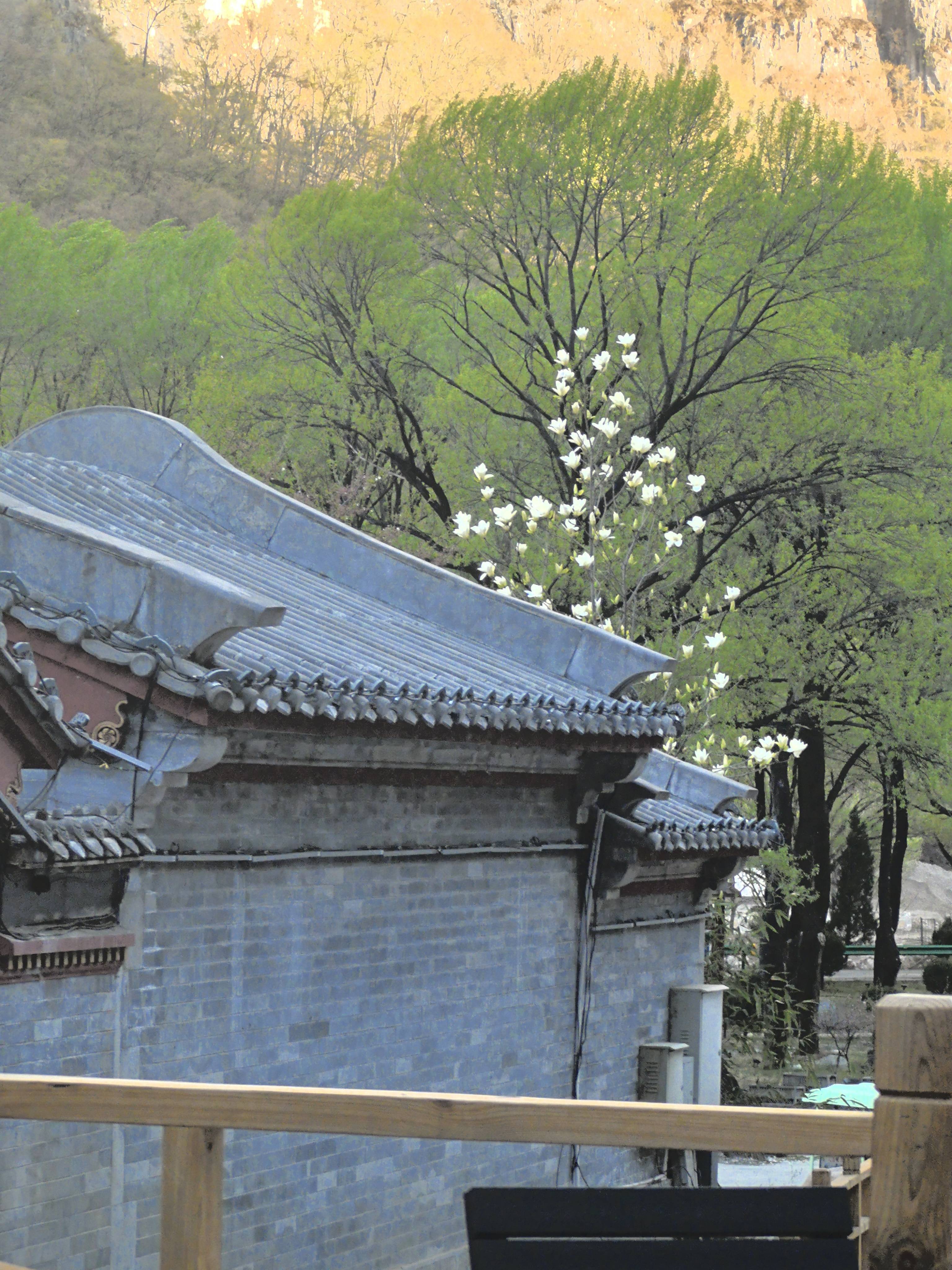 澳涞山庄荣登中国十大最美山庄之首澳门新葡京入口文旅圣地大放榜：(图5)