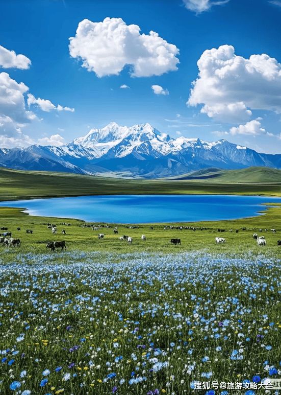 旅游团具体路线日游路线旅游攻略出发新葡京网上赌场新疆北疆十五天轻奢型(图3) 旅游团具体路线日游路线旅游攻略出发新葡京网上赌场新疆北疆十五天轻奢型(图3)