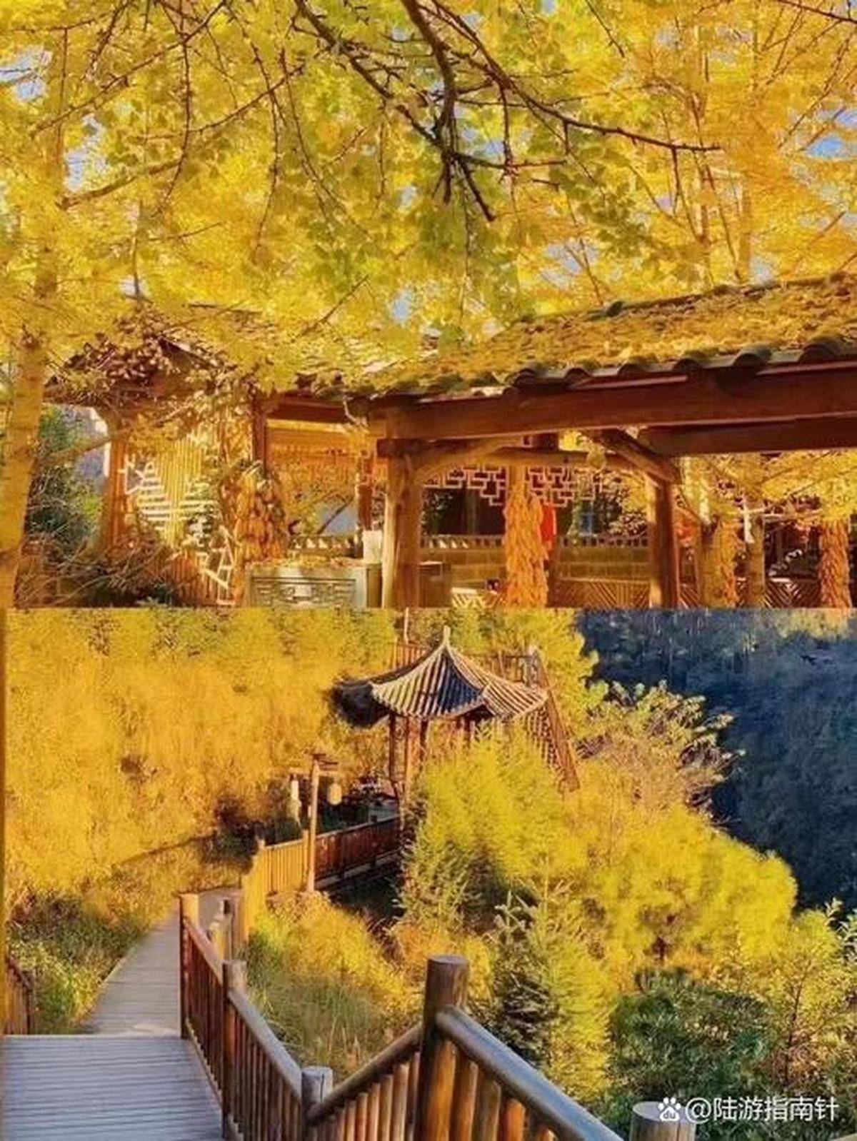 度假区探索自然风光度假体验澳门新葡京保山市银杏村旅游