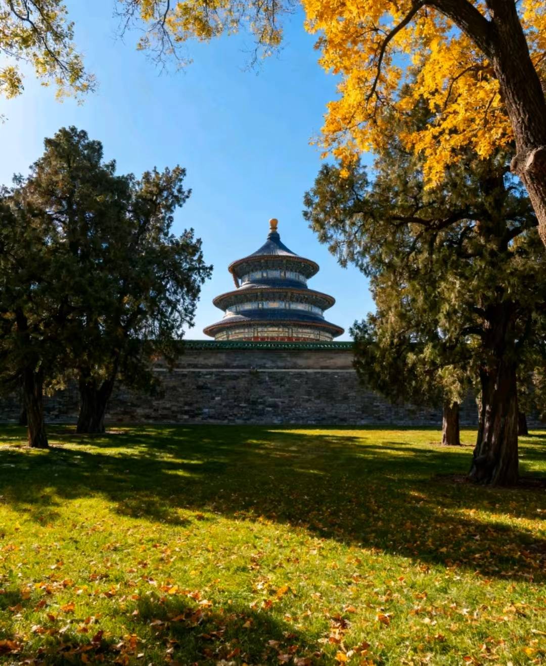 游标杆：2025年度的闪耀之星澳门新葡京网站探秘北京高端定制(图4)