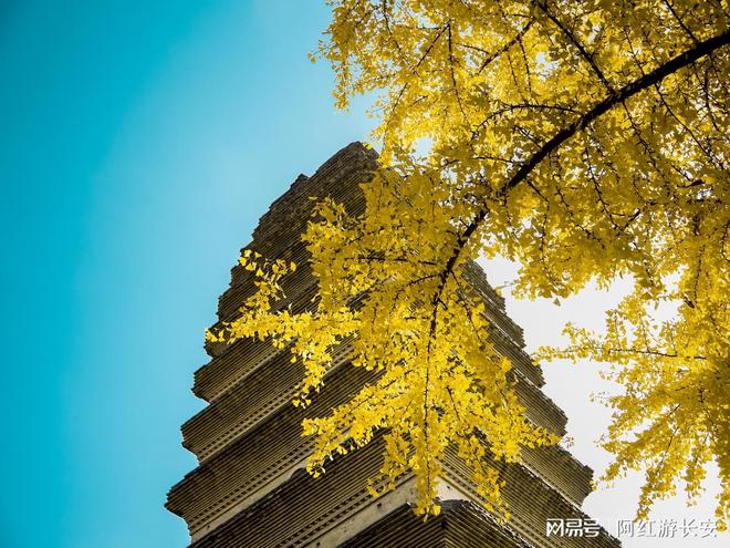 制游：为每一程量身打造完美旅途澳门新葡京