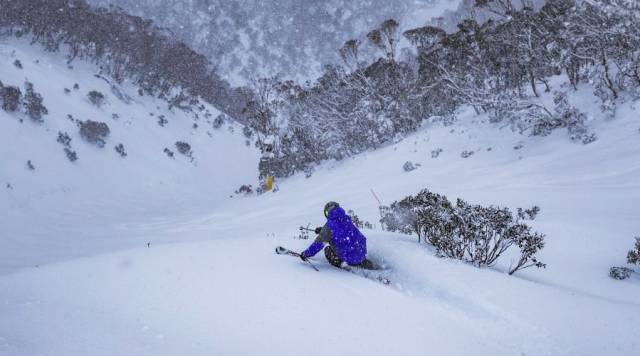 想都没想过的夏天!新葡京滑雪看极光你(图5) 想都没想过的夏天!新葡京滑雪看极光你(图5)