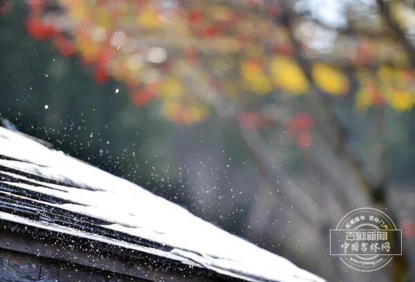 吉林北纬43°藏着世界级粉雪新葡京网上赌场不用飞国外！(图5)