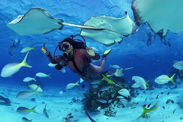 遇姐妹们的旅行也很精彩！新葡京博彩邮轮上没有艳(图15)